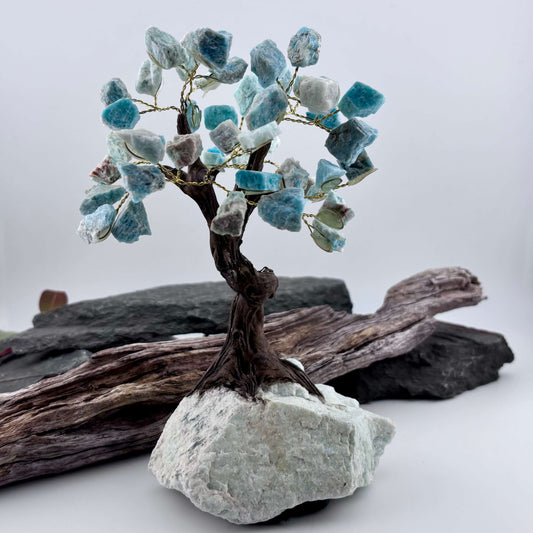 Amazonite Crystal Tree on Amazonite Rough
