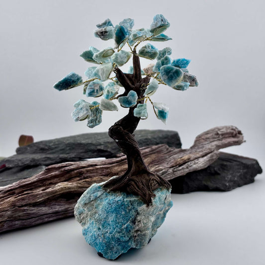 Amazonite Crystal Tree on Amazonite Rough