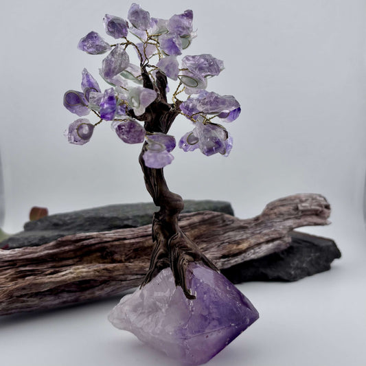 Amethyst Crystal Tree on Amethyst Rough Point