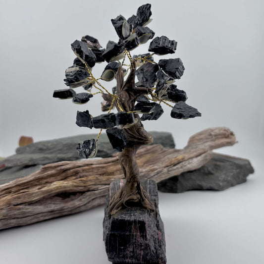 Black Tourmaline Crystal Tree on Tourmaline Rough