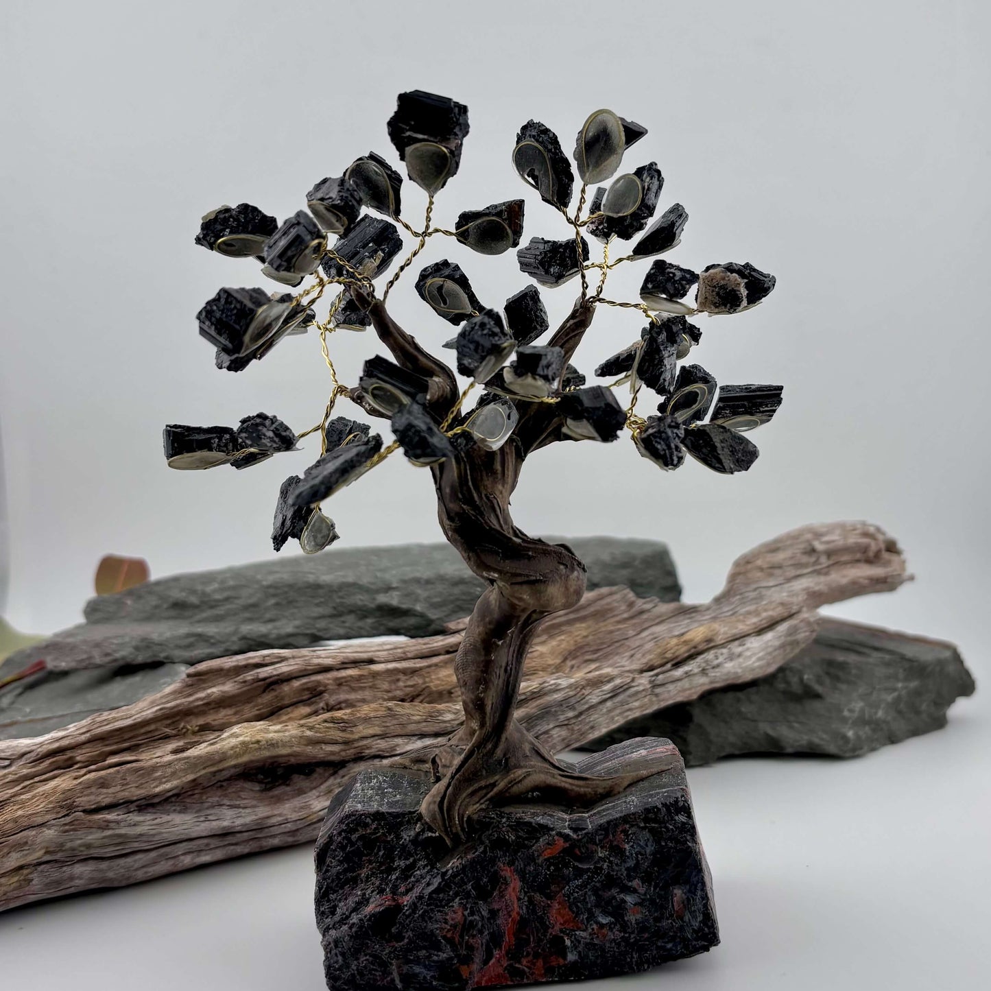 Black Tourmaline Crystal Tree on Tourmaline Rough