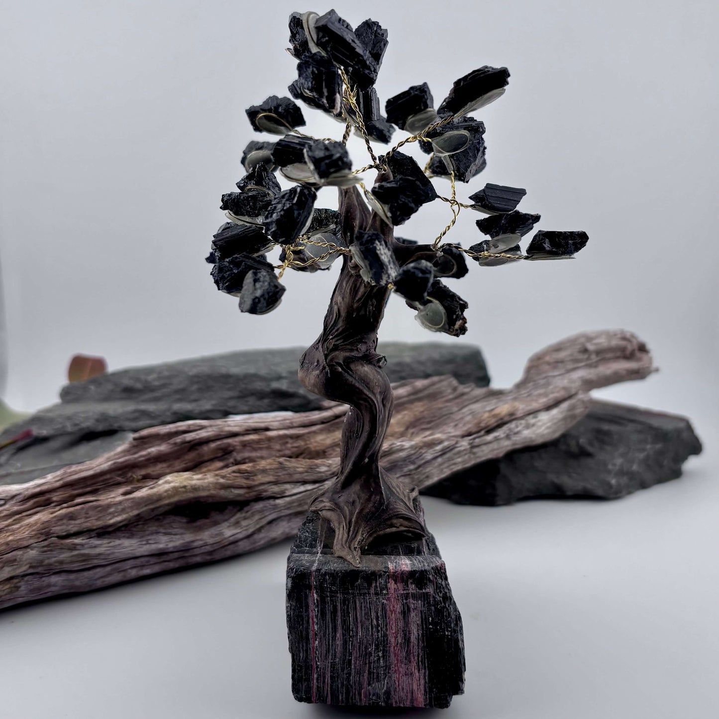 Black Tourmaline Crystal Tree on Tourmaline Rough