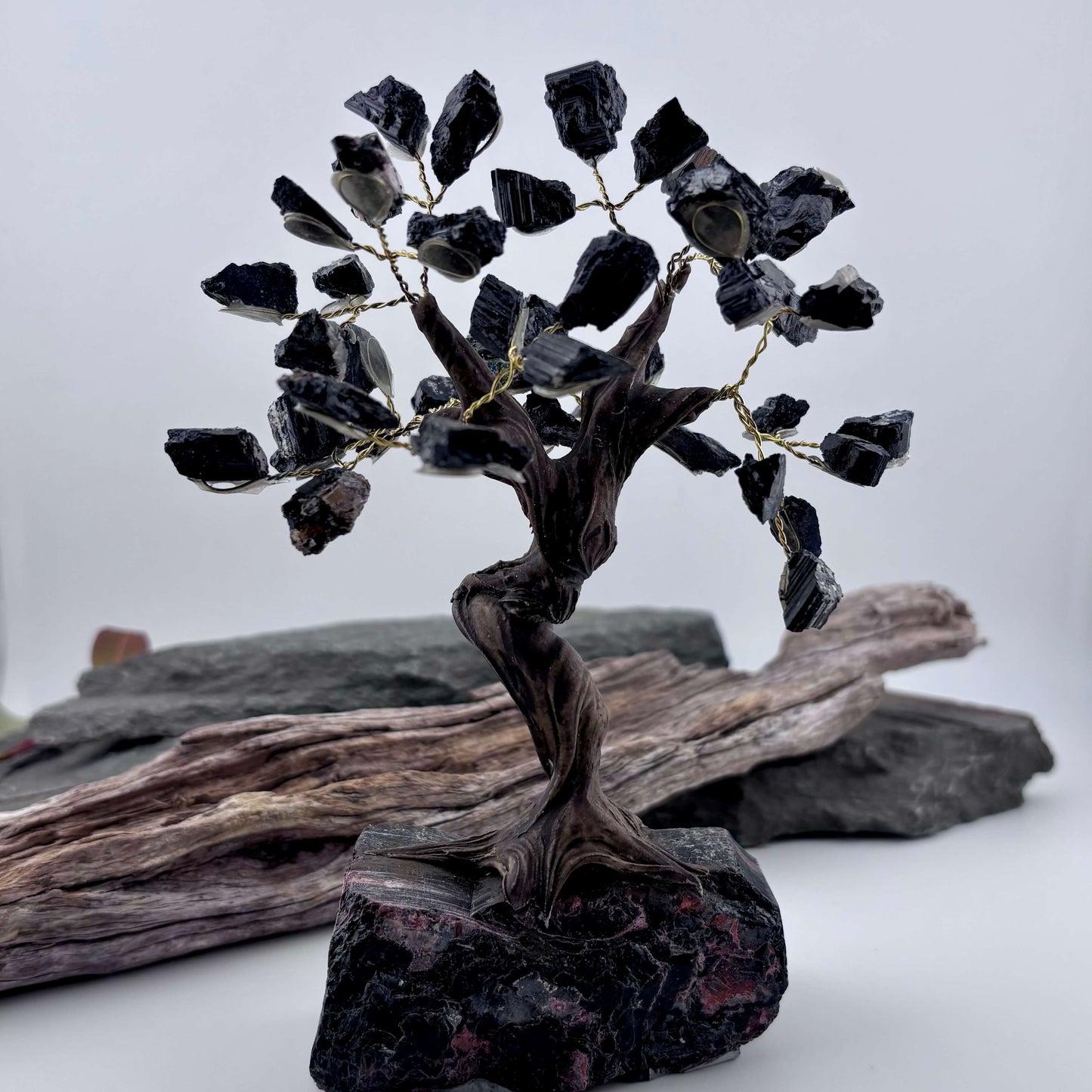 Black Tourmaline Crystal Tree on Tourmaline Rough
