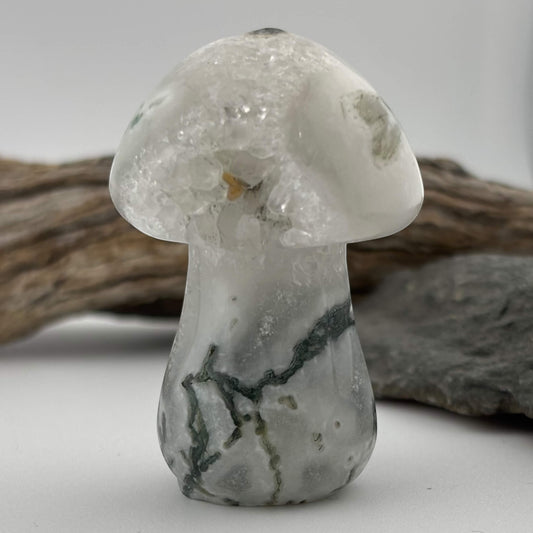Crystal mushroom on a white background with driftwood in the background