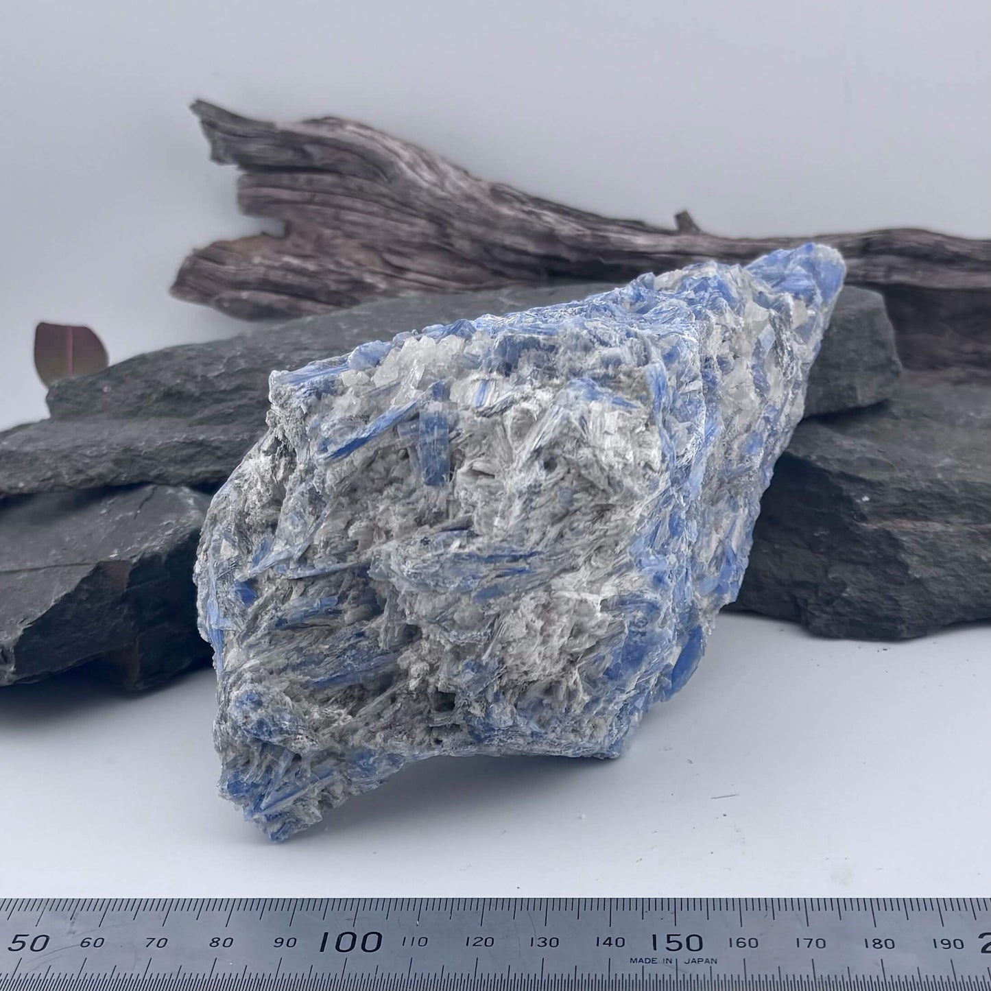 Large Brazilian Kyanite Rough Specimen Statement Piece - 1.05kg