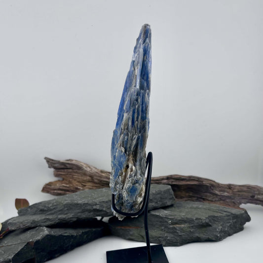 Brazilian Kyanite Rough Specimen Statement Piece on stand - 370grams