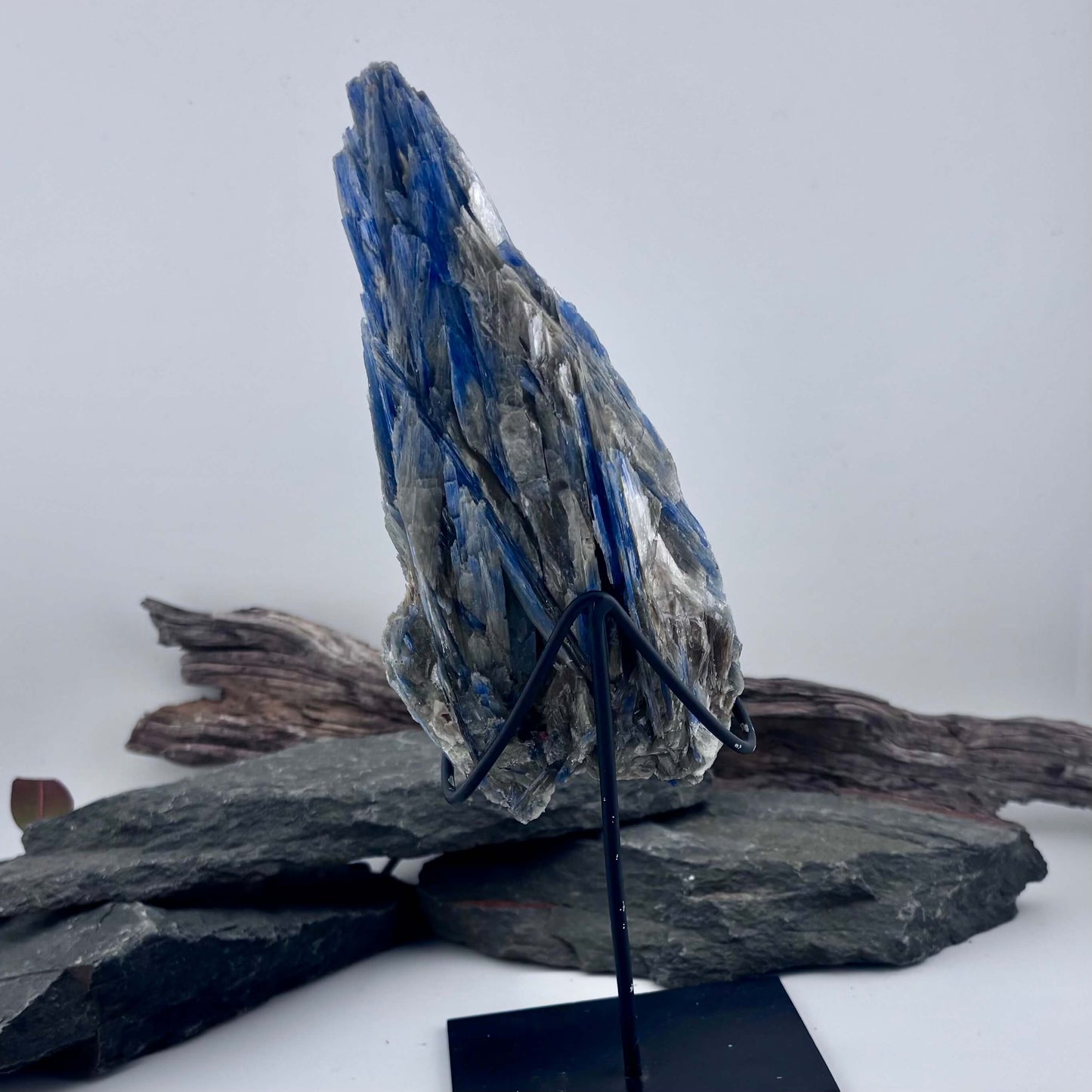 Brazilian Kyanite Rough Specimen Statement Piece on stand - 370grams
