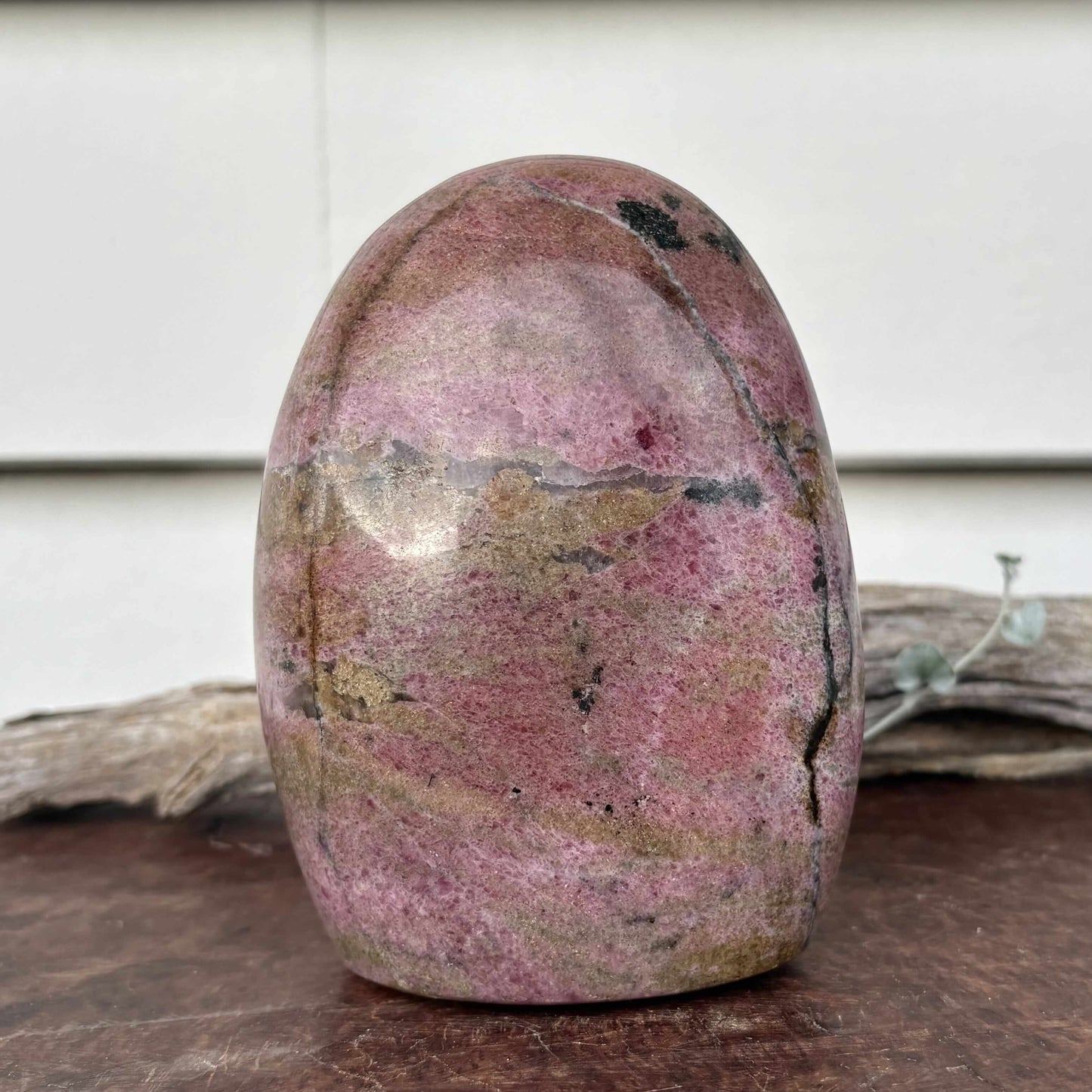 Rhodonite Polished Freeform