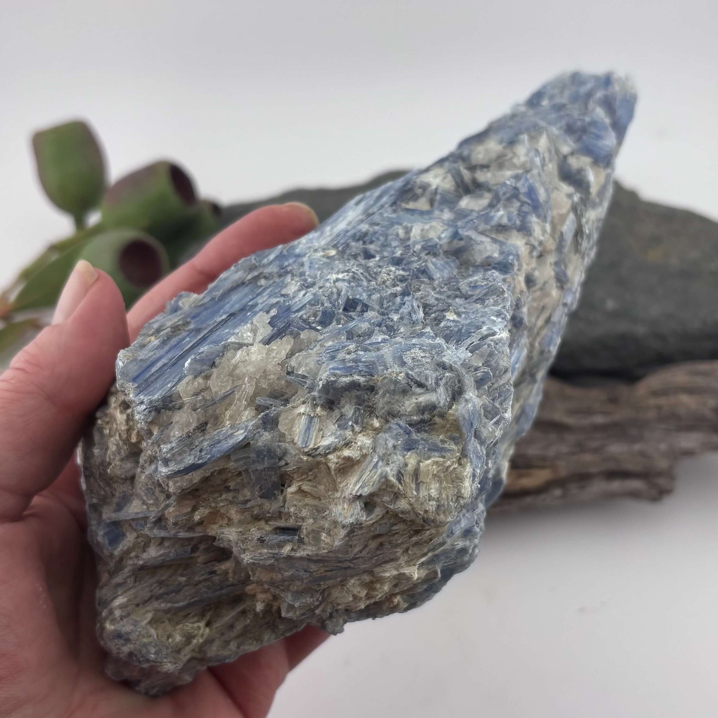Large Brazilian Kyanite Rough Specimen Statement Piece - 1.05kg