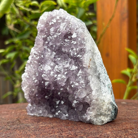 Brazilian Amethyst Geode - 900grams
