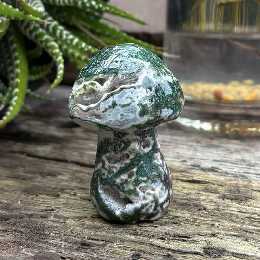 Moss Agate Druzy Carved Polished Mushroom - 5.6cm