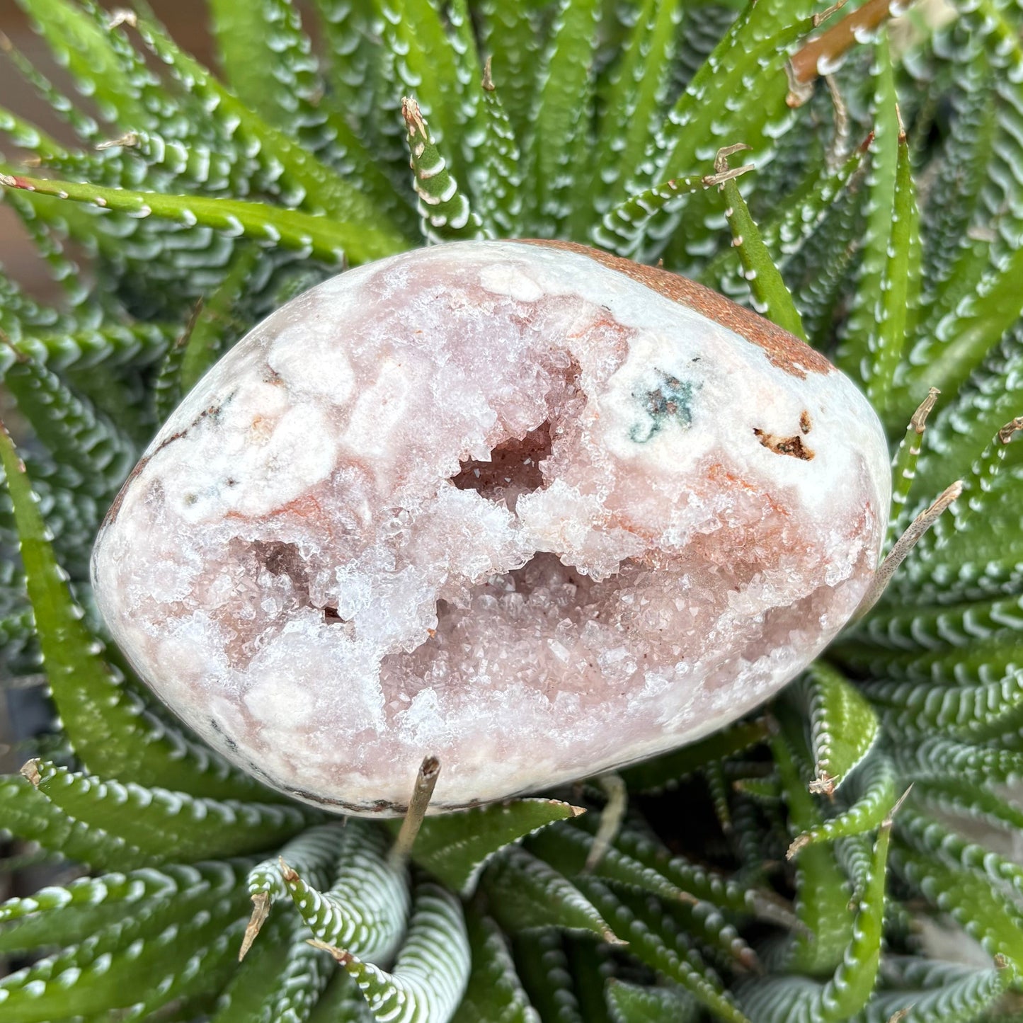 Brazilian Pink Amethyst Druzy Freeform - 239 grams