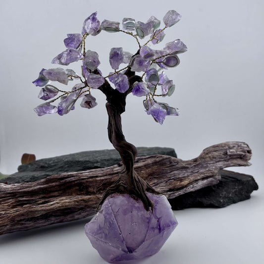 Amethyst Crystal Tree on Amethyst Rough Point