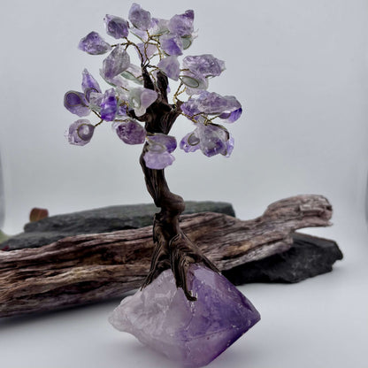 Amethyst Crystal Tree on Amethyst Rough Point