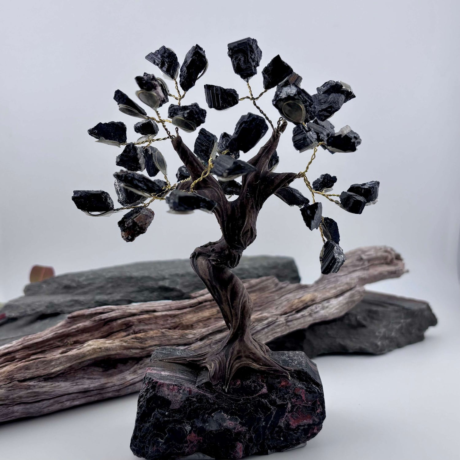 Black Tourmaline Crystal Tree on Tourmaline Rough