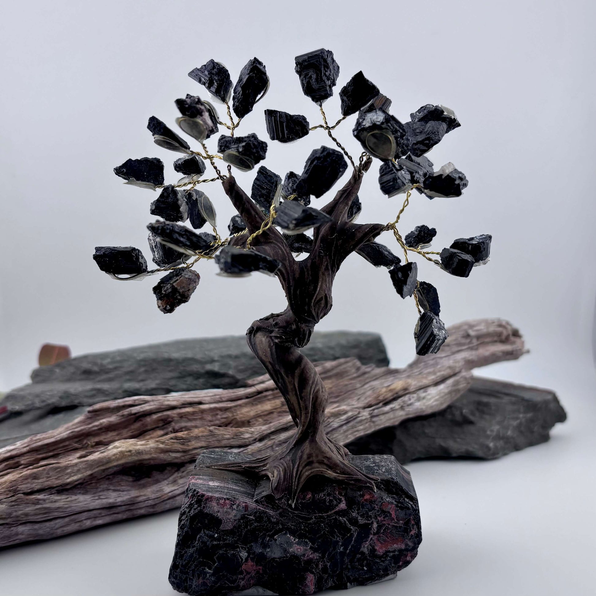 Black Tourmaline Crystal Tree on Tourmaline Rough