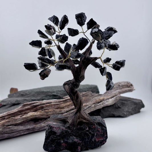 Black Tourmaline Crystal Tree on Tourmaline Rough