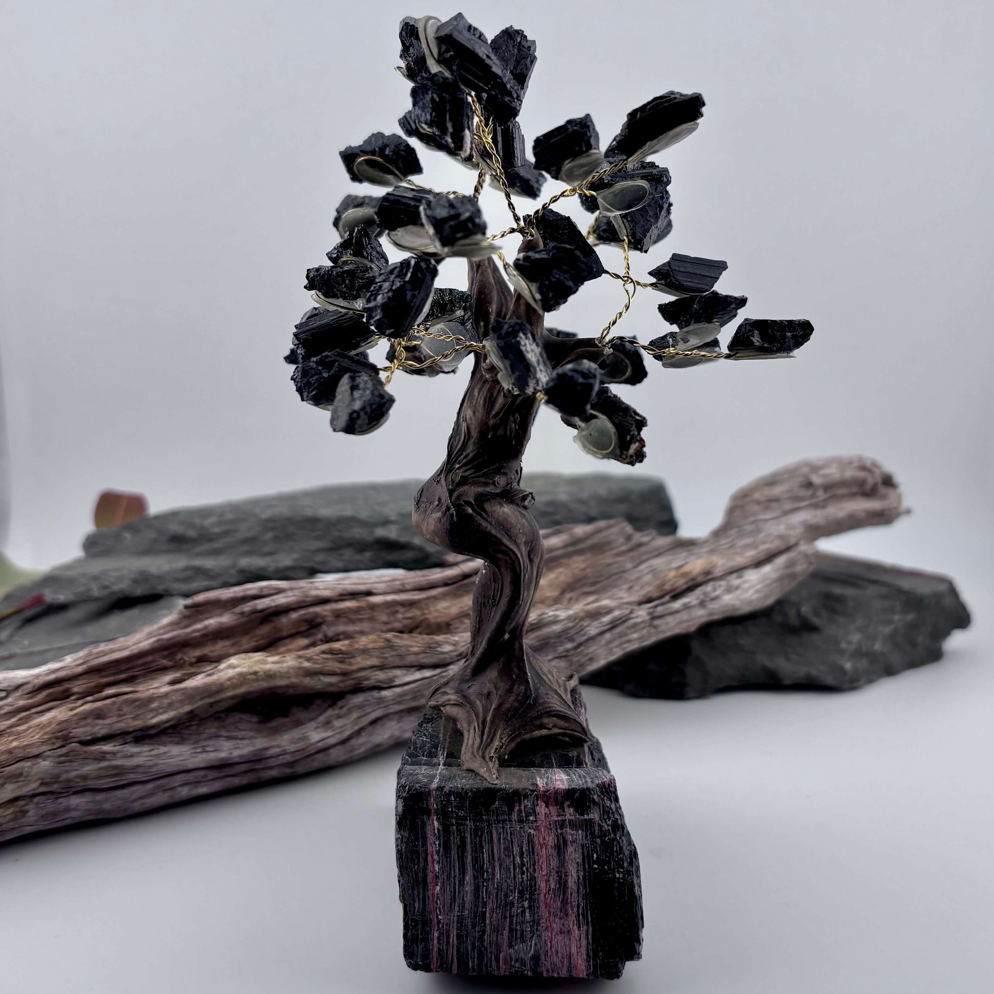 Black Tourmaline Crystal Tree on Tourmaline Rough