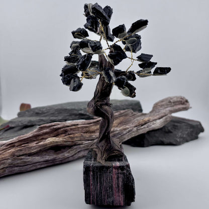 Black Tourmaline Crystal Tree on Tourmaline Rough
