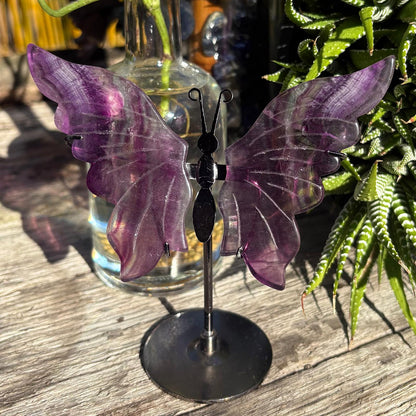 Rainbow Fluorite Carved Butterfly 0n Stand - 105 grams / 14 cm Tall