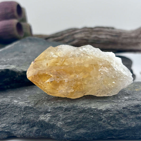Small Brazilian Citrine Rough Point