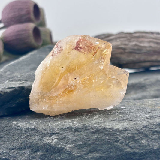Small Brazilian Citrine Rough Point 