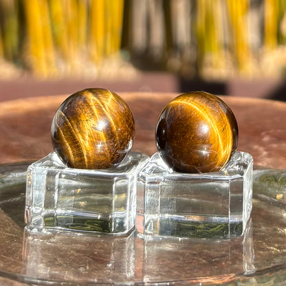 Small Tigers Eye Polished Spheres / Marbles x 2 - 25 grams