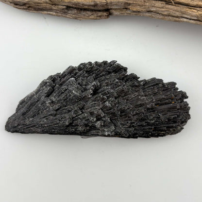 Brazilian Black Kyanite Rough Specimen (Witches Broomstick) - 70 grams