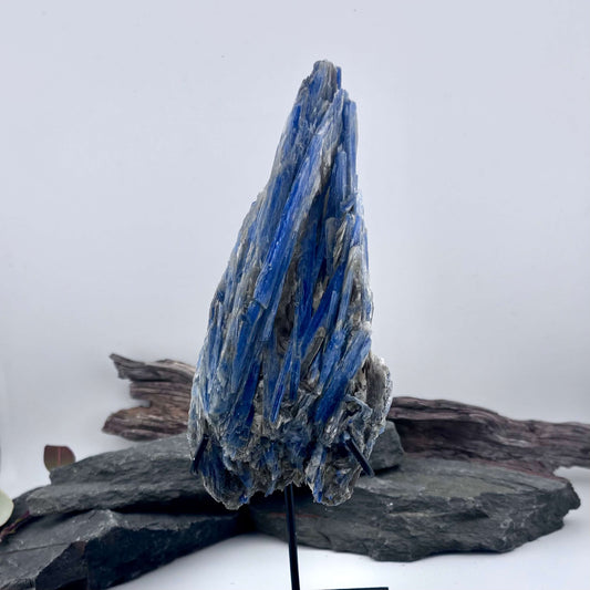 Brazilian Kyanite Rough Specimen Statement Piece on stand - 370grams
