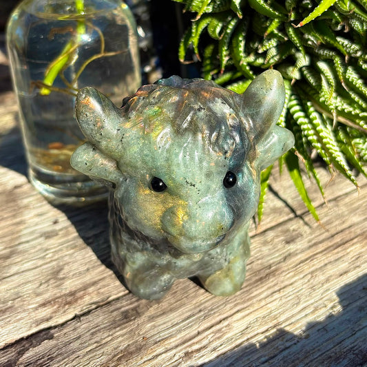 Labradorite Orange / Purple Flash Carved Highland Plateau Cow - 1kg
