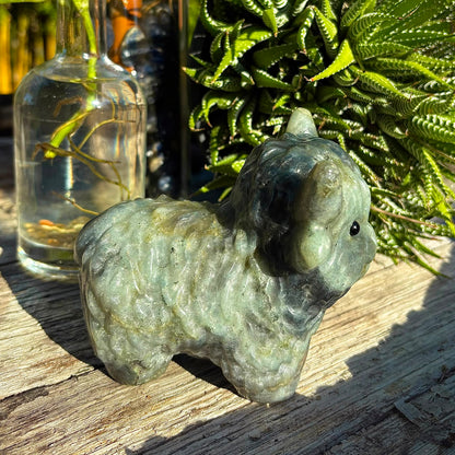 Labradorite Orange / Purple Flash Carved Highland Plateau Cow - 1kg