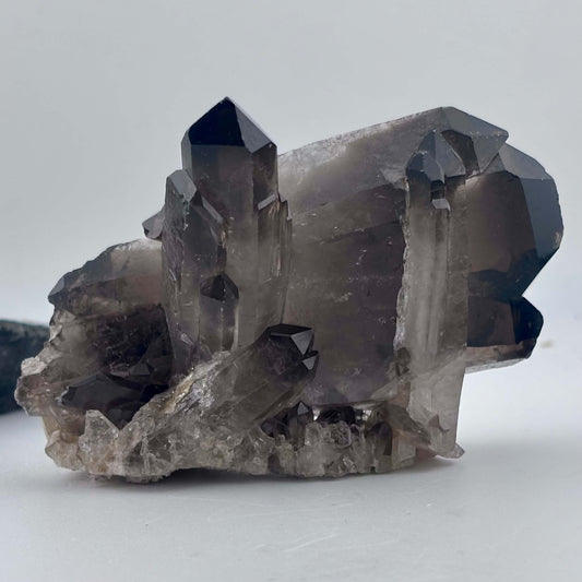 Brazilian Smoky Quartz Cluster with natural Terminator Points - 292 grams